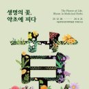 우리약초 아시아경제