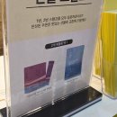 서울/코엑스 2025 서울커피엑스포 커피박람회 관람후기(+베이커리페어)