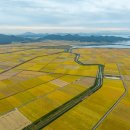 제일행정사사무소 이미지