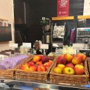 맨체스터빌 이미지