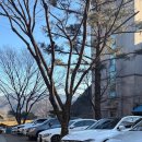 pet15라1786 | [창원/대구 근교 찜질방 추천] 청도 군불로 찜질방 주말 이용 후기(비슬가든 삼겹살)