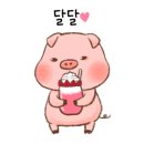 마리롱 이미지