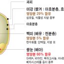 쌀의 영양성분 (현미 vs 백미 비교) 이미지