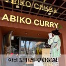 아비꼬 광화문점 | [광화문] 광화문 직장인 점심 딜레마, '아비꼬카레' 솔직 후기: 만 사천 원의 가치를 하는가? (솔직하게...