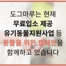 도그천사 이미지