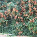 뚝섬한강공원-70 이미지