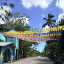 동부산주유소 | 카모테스(camotes island) 여행 1 : 진에어 부산-세부 후기, 공항택시 꿀팁, 다나오 항구, 조말리아...