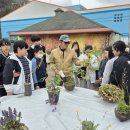 수신초등학교 이미지