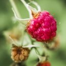 주식회사 대금 이미지