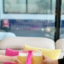 키즈 엘림 | 경주 감성펜션 키즈엘림 두 번째 방문