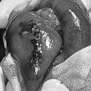 24시 양주 힐 동물의료센터 이미지