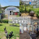 형제농장-2 네이버블로그