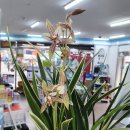 손온누리약국 이미지