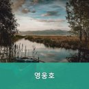 영웅호