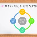 황소와농부 이미지