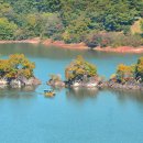 성동초교 이미지