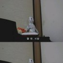 리을미음