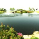 백암비스타골프장 이미지