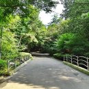 서울대공원 캠핑장 이미지