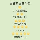 고미후라이 이미지