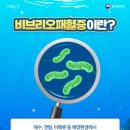 8월 : 비브리오패혈증 이미지