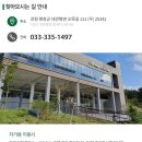 법인대관령순수양떼목장 이미지