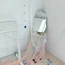 양주 백석 폴댄스 ‘누아 폴 스튜디오’ 체험 솔직 후기 | 주차, 인생샷맛집, 애견동반