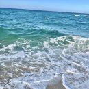연곡해변 솔향기캠핑장 | [강릉 숙소추천] 강릉 연곡해변 솔향기캠핑장 🌊 3면이 바다뷰인 고급 카라반 숙박기