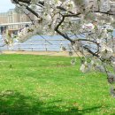 서쪽아이 이미지