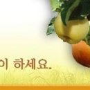 큰솔농장 네이버블로그