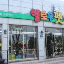 제주 헬로우펫 이미지