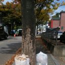 한서자기원 이미지