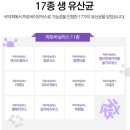 주식회사 브리오 | 브리오 생 유산균 프로바이오틱스 액티브