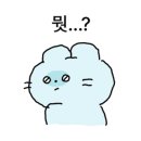 족발타임