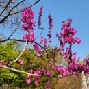 작심삼일 이미지