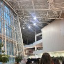 세븐일레븐 킨텍스제1전시장점 | 도자캣 첫 내한 콘서트 후기 (킨텍스 제2전시장 10홀 시야)