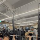 바디트리연구소 이미지