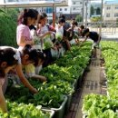 학교농장 이미지