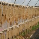 돼지은행 이미지