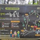 붉은오름자연휴양림2 이미지