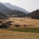 서라벌주
