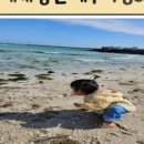 자연 애개 이미지