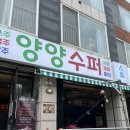 바다솔 | 양양 서핑여행! 솔게스트하우스+서핑풀패키지 후기(ft. 파티, 카페, 바다뷰 숙소)