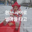 골드어린이집 | 골드라인 2인용 눈썰매 사용후기 어린이집 등원 일상기록