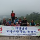 도마초등학교 이미지