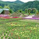 자라섬남도1(강변) 이미지