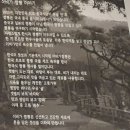 이비가짬뽕 거제사곡점