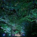 상림약수터 이미지