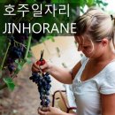 (주)동일육가공 네이버블로그
