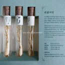 근이케이스 이미지